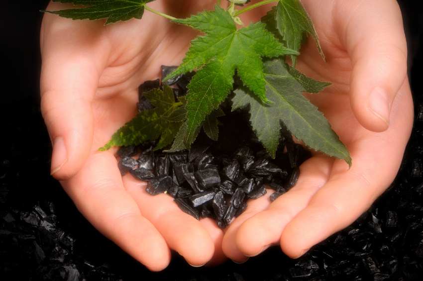 biochar (1)