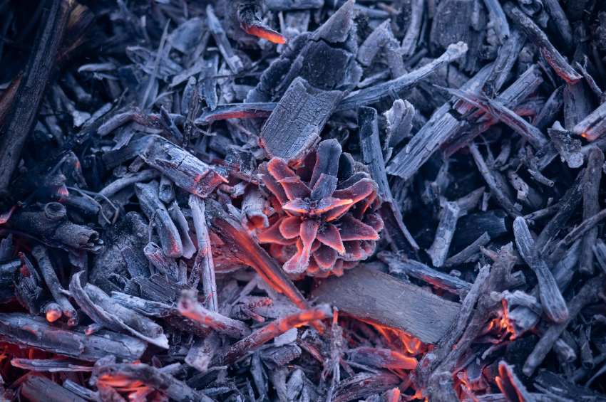 biochar